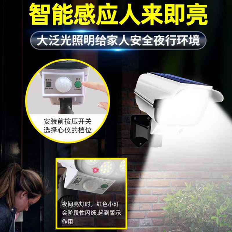 Image of Solar Security Light with Surveillance Camera